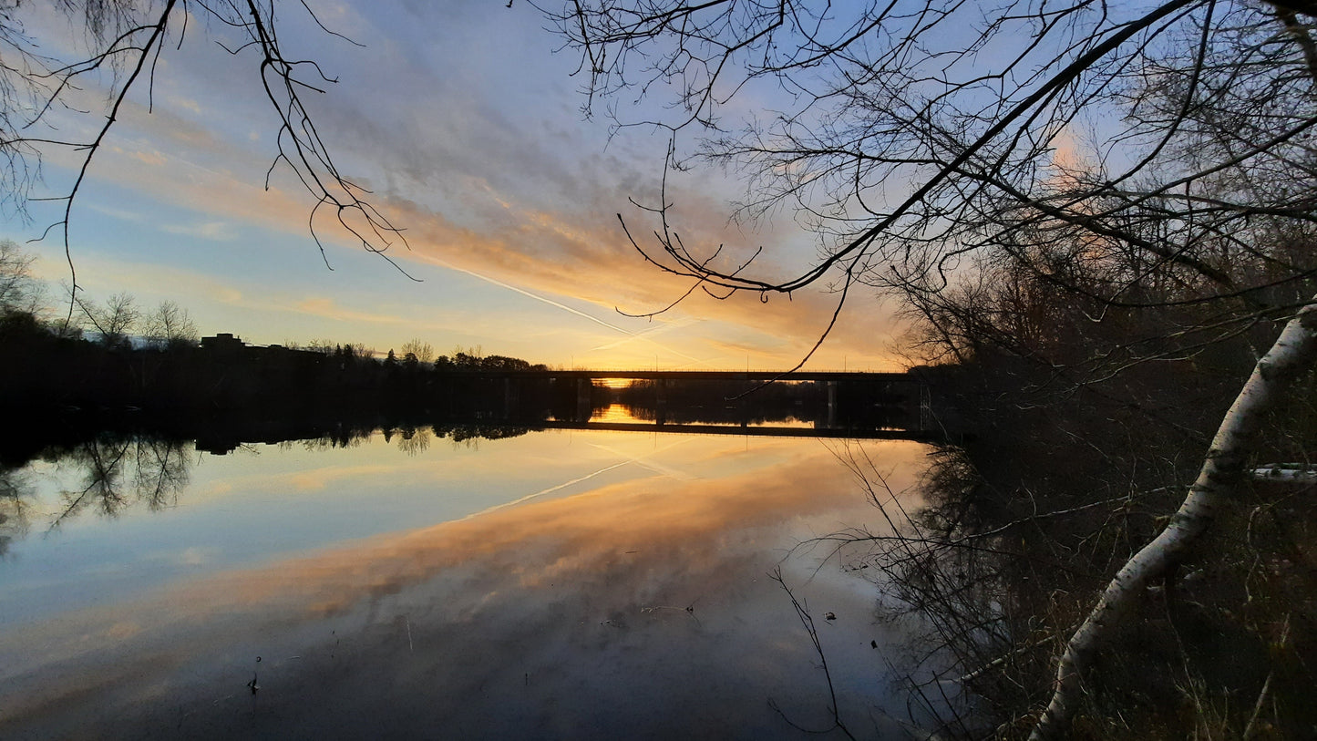 Canard Du 28 Avril 2021 5H29 Photo Numérique