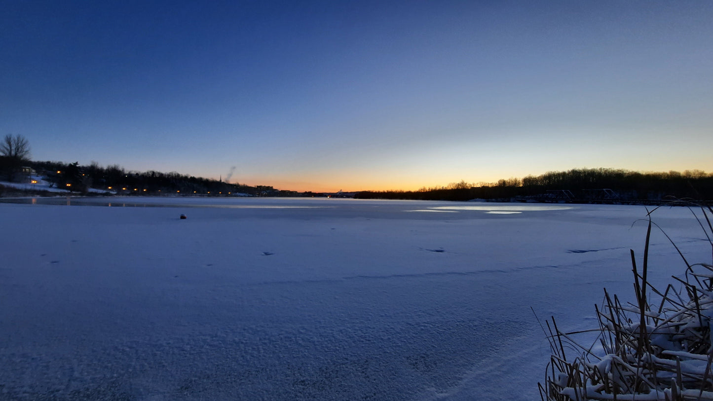 2022-01-03 (Vue Q1) Aube