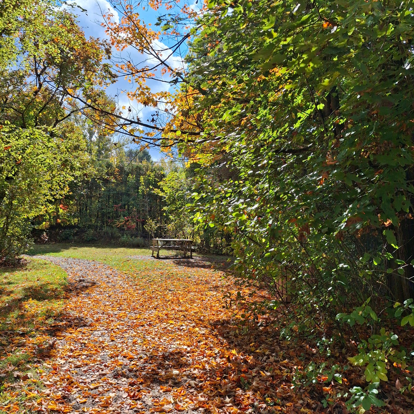 2024-10-05 11:20 Rest area Espace Photos Sherbrooke (View Table 1)