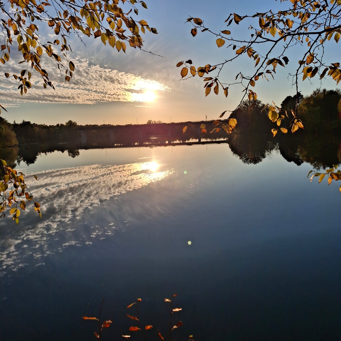 2025-10-11 17:29 (Vue 2.3)