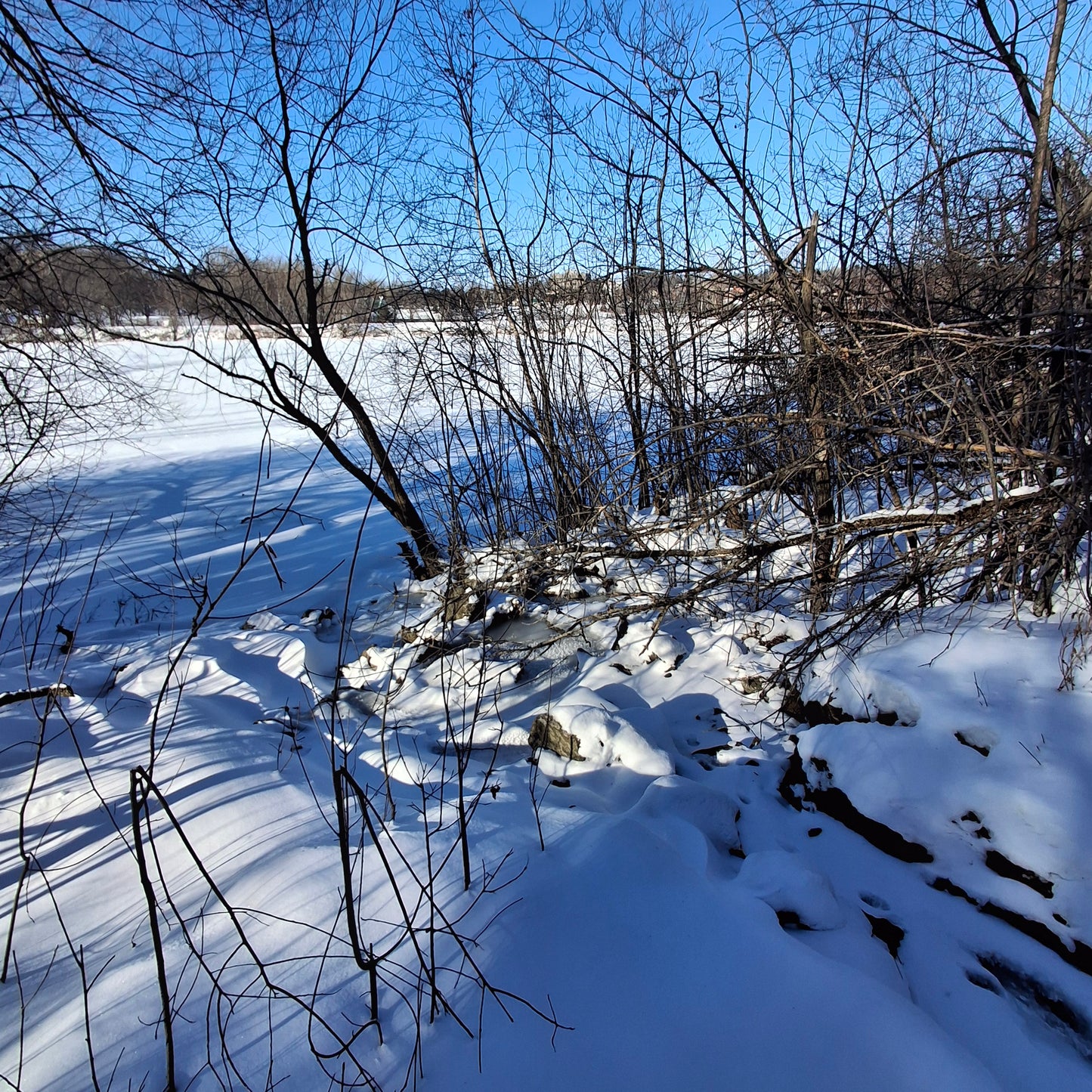 2026-01-24 (Vue Grenouille) 🐸