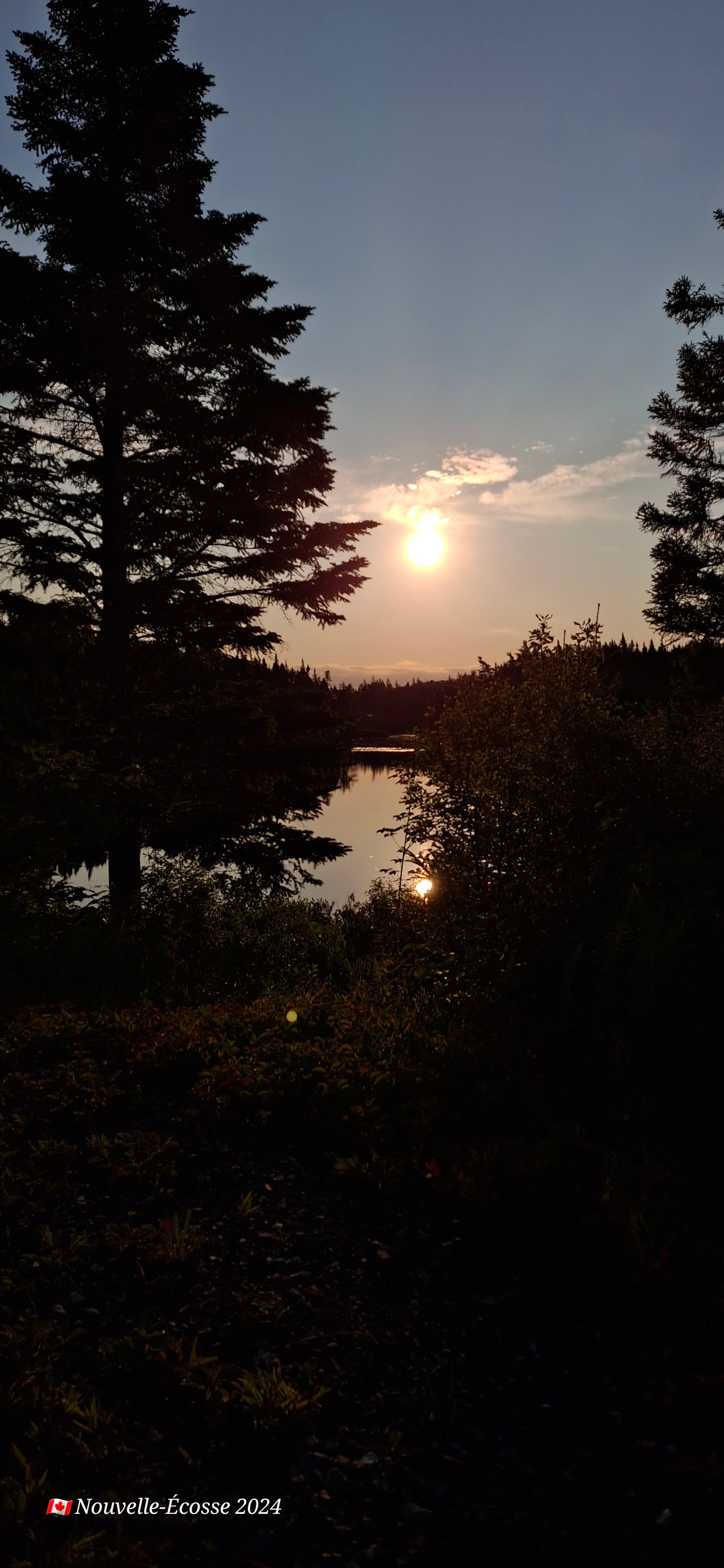 2024-07-23 The two suns