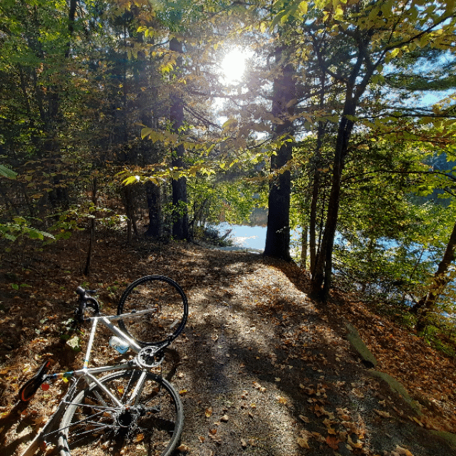 2022-10-05 Magog River (View Q5) #animation