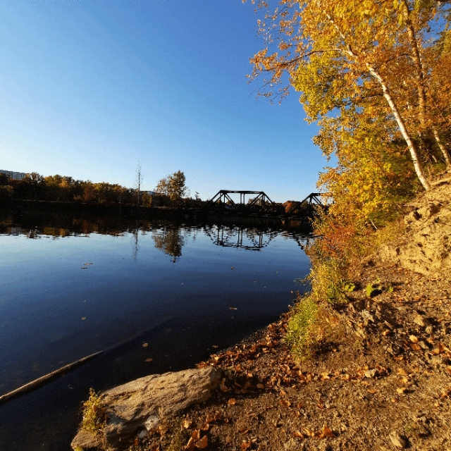 2022-10-05 Find the sun (View 1) #animation