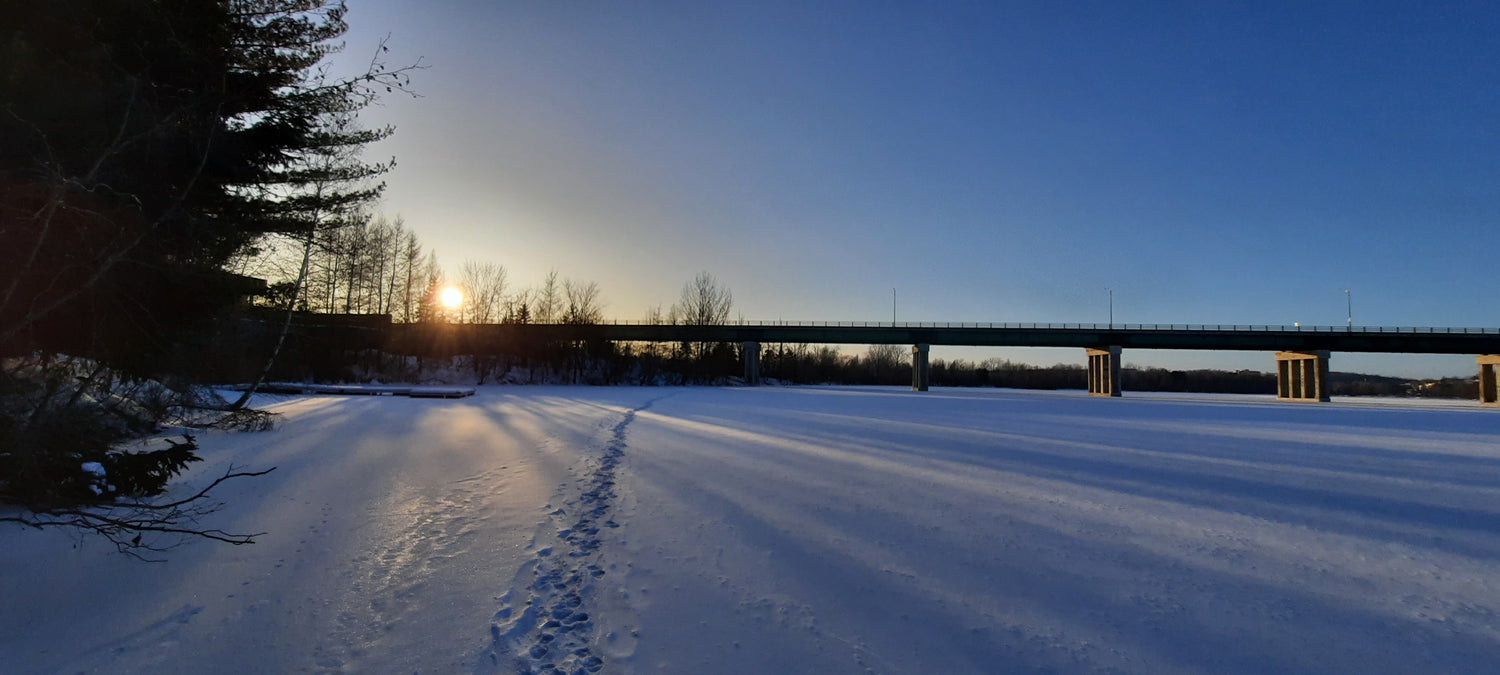 Vue P1 à Sherbrooke