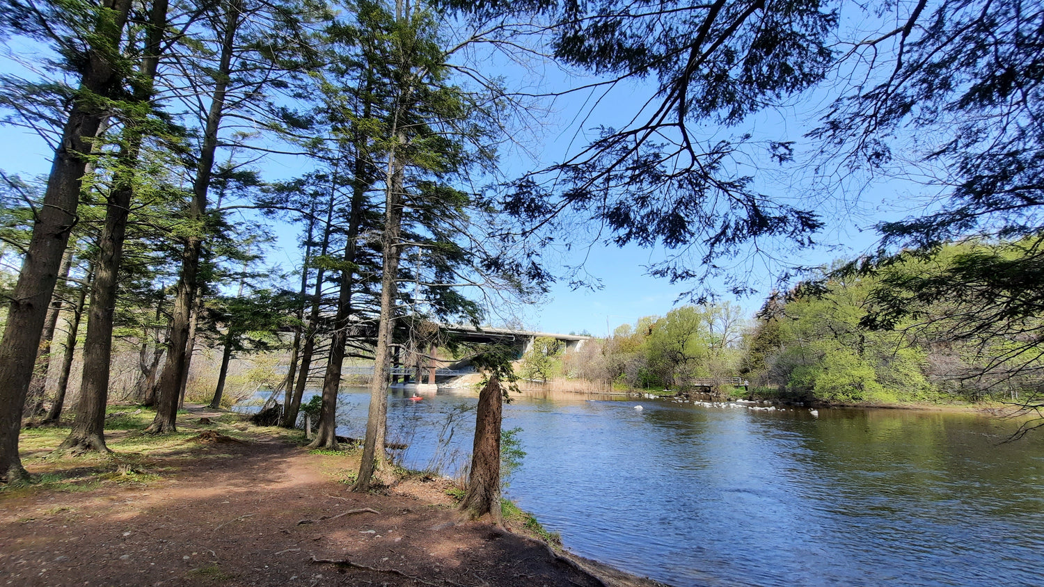 Le Pont De La 410 A Sherbrooke (Pont Maurice-Gingues) 15 Mai 2021