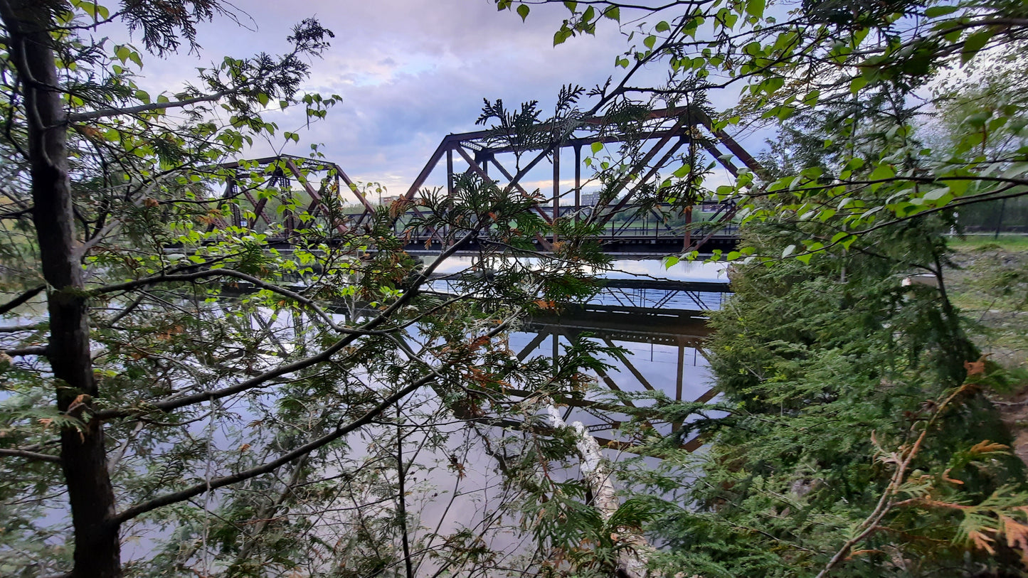 Le Pont Noir Du 18 Mai 2021 (Vue 2.4)