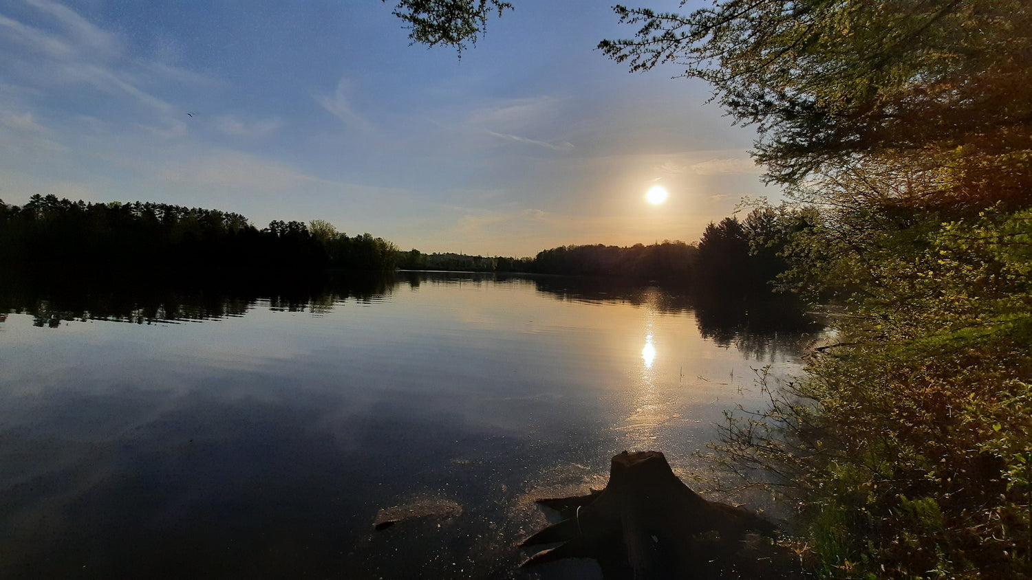 Le Soleil Du 20 Mai 2021 (Vue Souche)