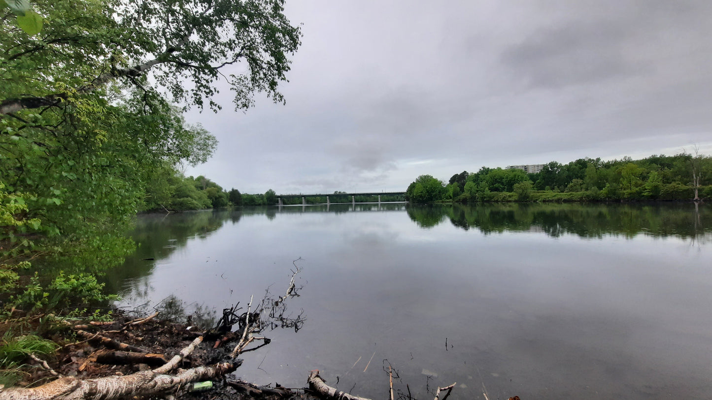 La Pluie Du 31 Mai 2021 (Vue 1) 5H44