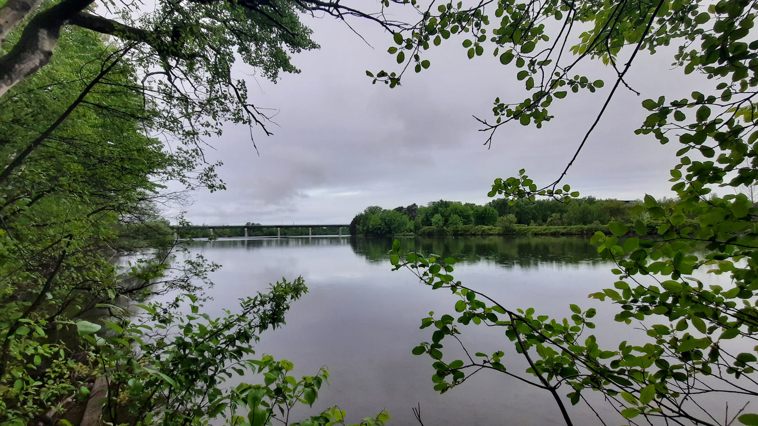 La Pluie Du 31 Mai 2021 (Vue 0) 5H46