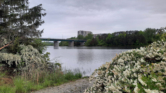 La Pluie Du 31 Mai 2021 (Vue P1J) 5H53