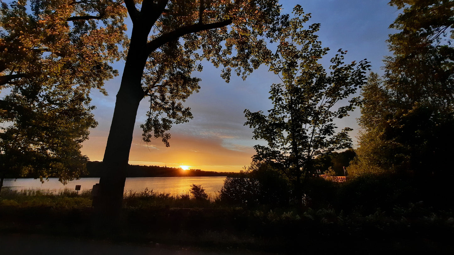 Soleil Du 11 Juin 2021 (Vue Bp3)