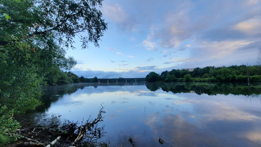 Matin 15 Juin 2021 (Vue 1) 5H30