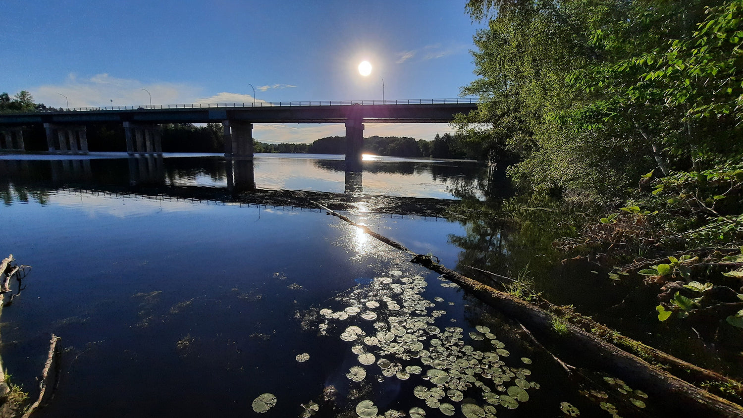 Trouve Les Nénuphars Et Le Soleil Du 17 Juin 2021 (Vue K0)