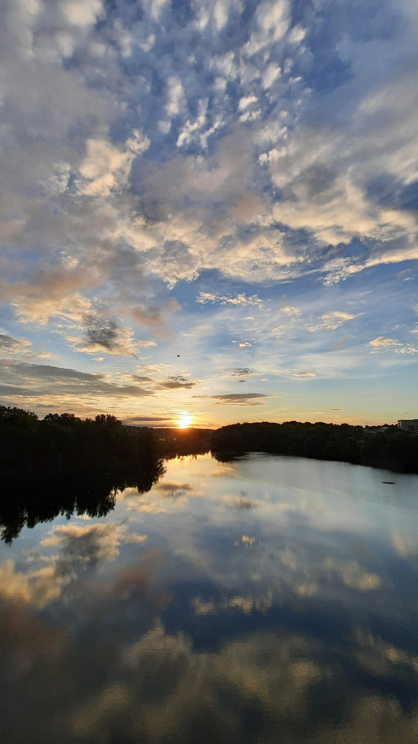 Trouve Le Soleil Et L’oiseau Qui Passe À Sherbrooke 14 Juillet 2021 (Vue Sure) Rivière Magog