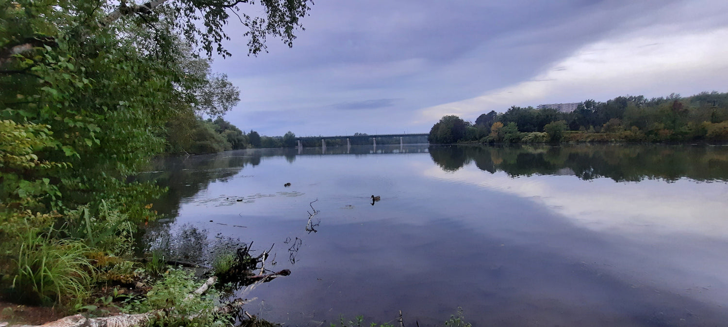 Trouve Les Canards Du 9 Septembre 2021 6H26 (Vue 1) Pont Jacques Cartier De Sherbrooke