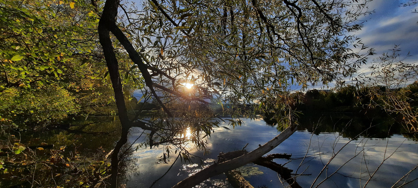 Le Soleil Qui Sort Prise 2...Le 3 Octobre 2021 17H33 (Vue C1)  Rivière Magog À Sherbrooke. Pont