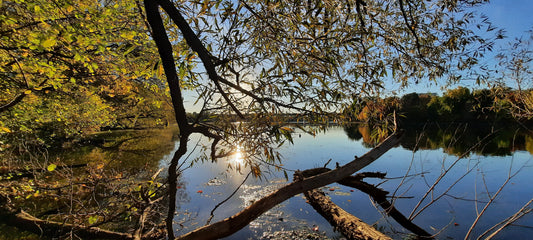 Soleil Chaud Du 6 Octobre 2021 17H21 (Vue C1) Rivière Magog À Sherbrooke. Pont Jacques Cartier.