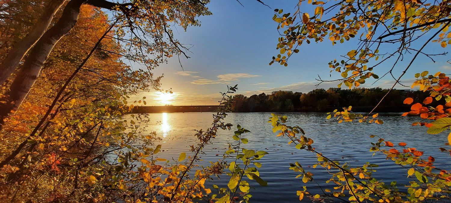 6 Photos--->Timelapse Du 10 Octobre 2021 17Hxx (Vue 0) Photos. Cliquez Pour Voir