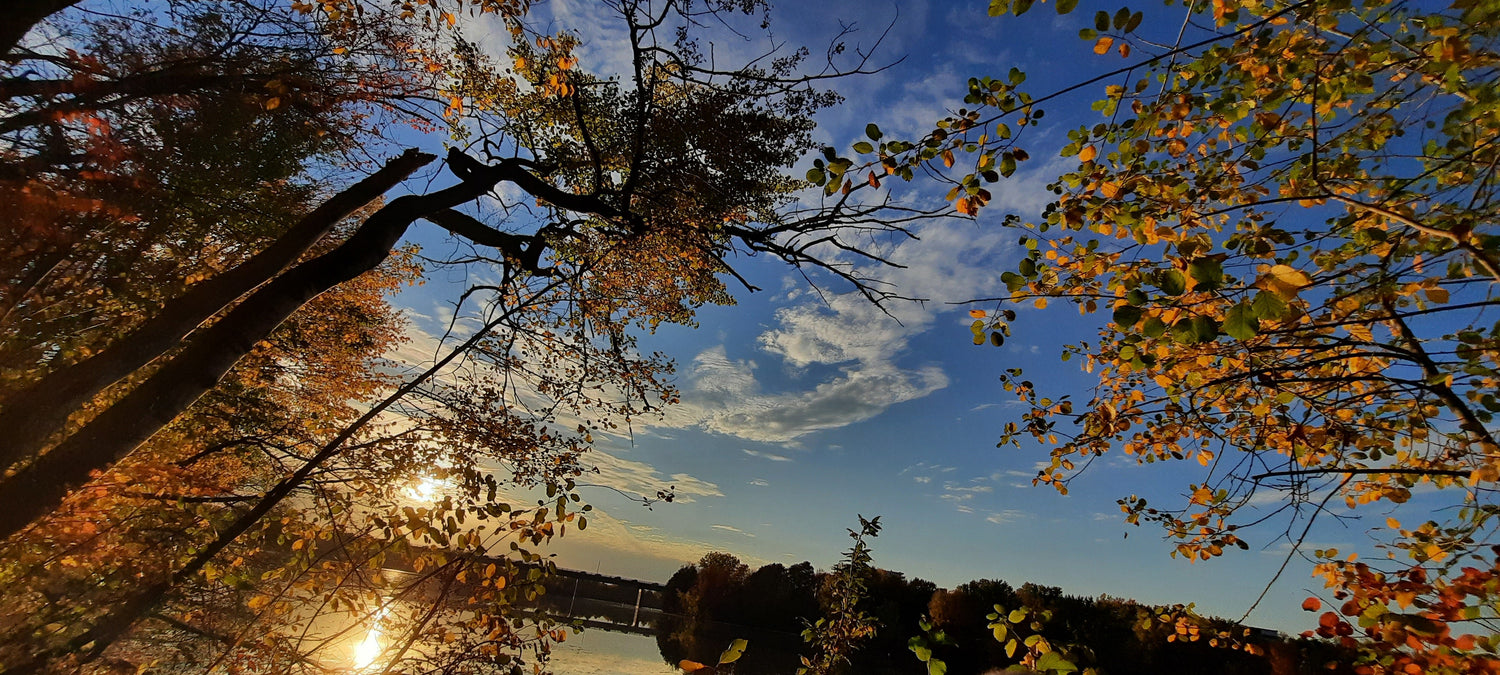 Le Soleil Du 12 Octobre 2021 17H27 (Vue 0)