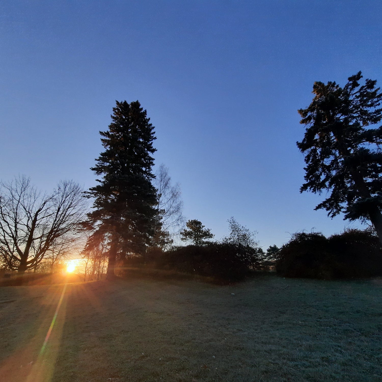 Lever De Soleil Du 7 Novembre 2021 6H50