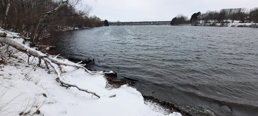 Neige 2021-11-27 15:10 Sherbrooke (Vue 1)