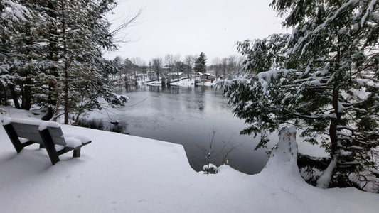 Rivière Magog 2021-12-19 (Vue Bp12)