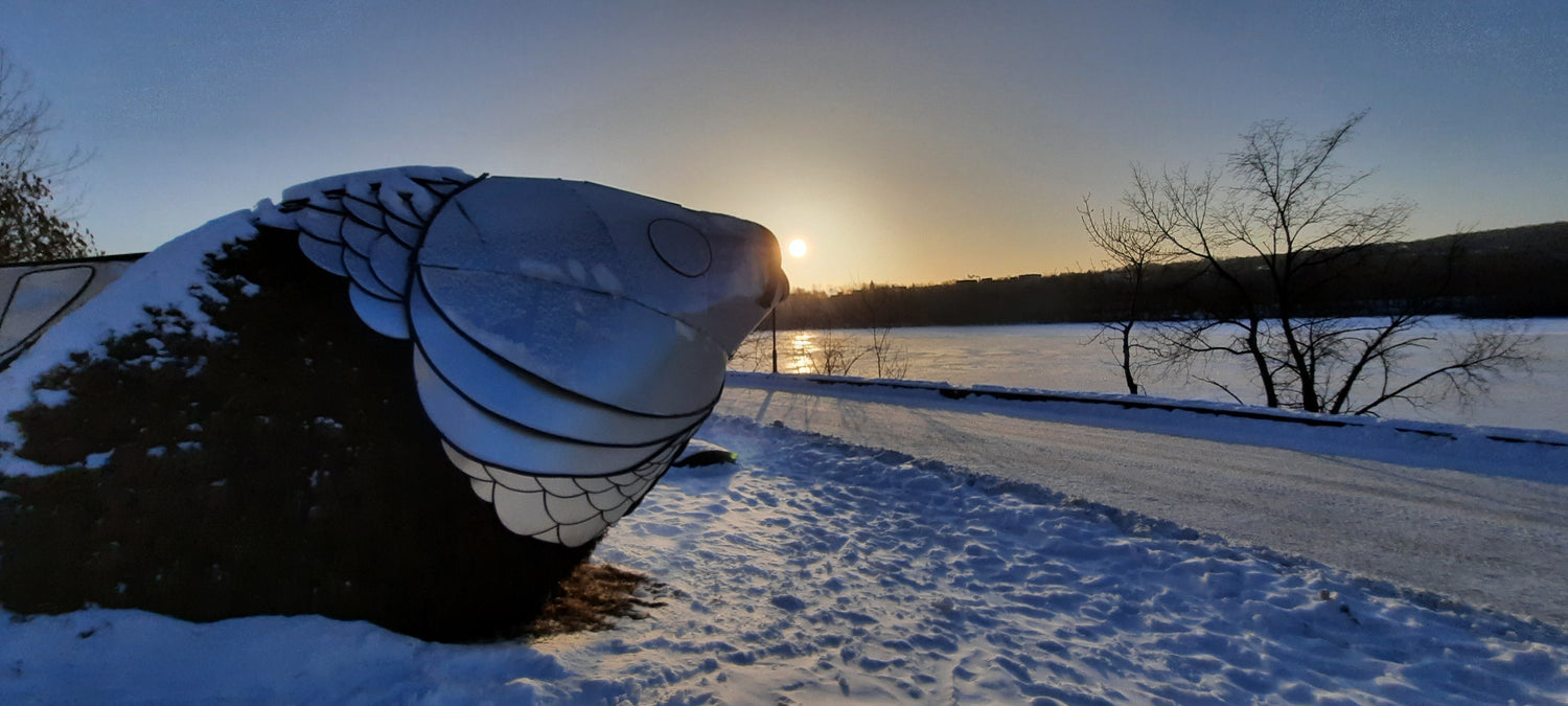 Bulle De Soleil (Vue Poisson)