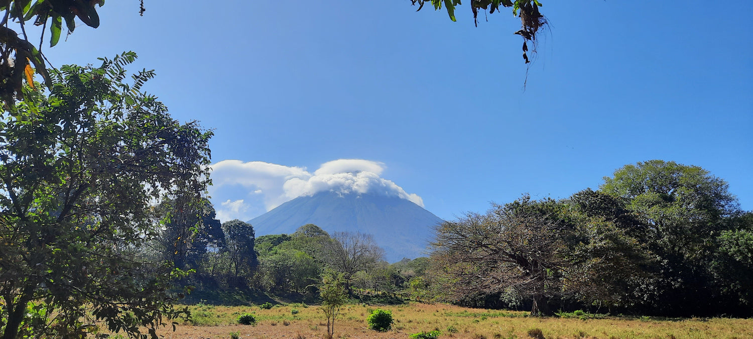 Viva Nica - Vivez l'expérience UNIQUE du Nicaragua