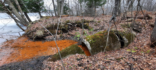 2022-03-27 (Vue Égoût) Trouve Le Brun De Sherbrooke