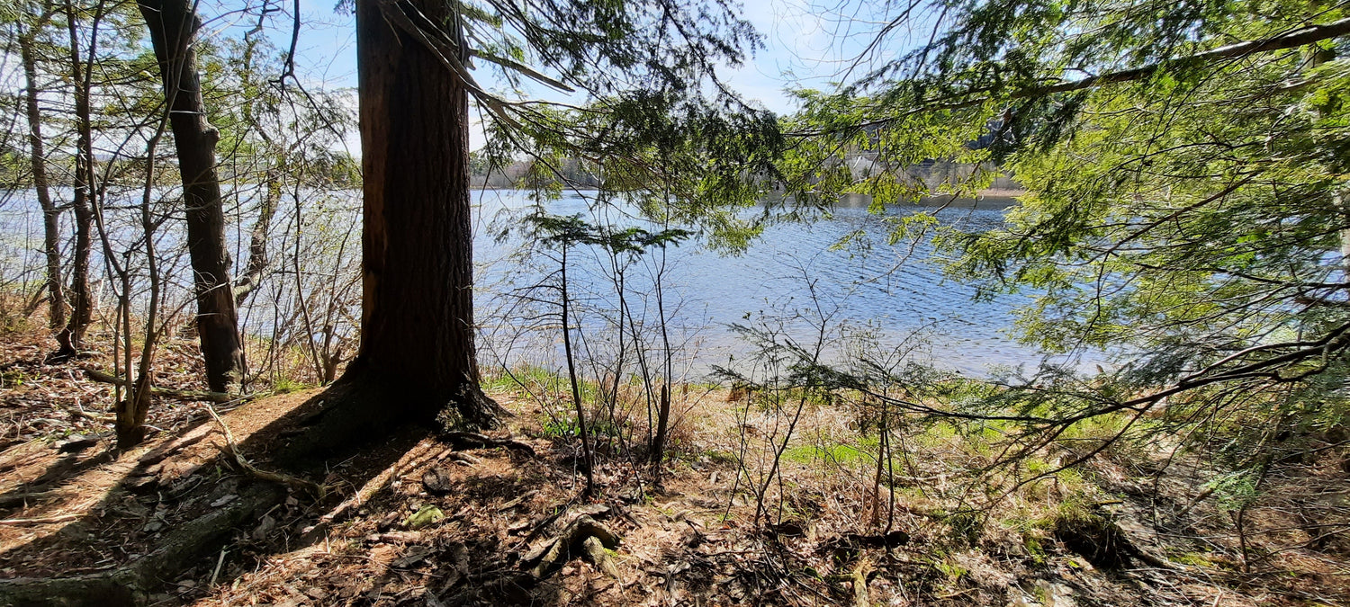 Découvrez La Nouvelle Plage Secrète De Sherbrooke (Vue Pss1)