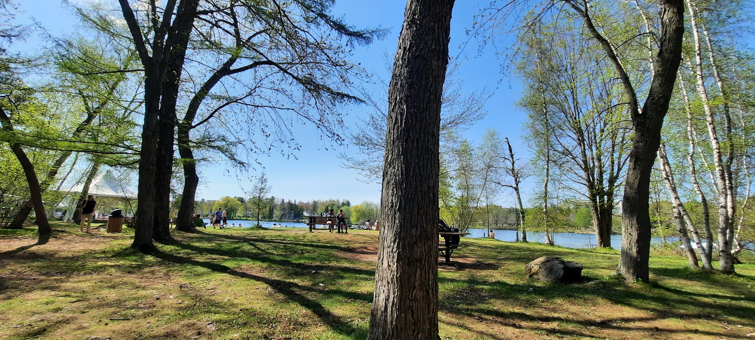 Une Baignade Dans La Rivière Magog Un 13 Mai À Sherbrooke. (Vue Pss2)