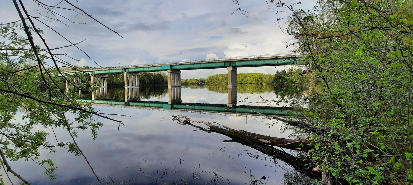 Trouve Les Tortues Pres Du Pont Jacques Cartier De Sherbrooke (Vue K0)