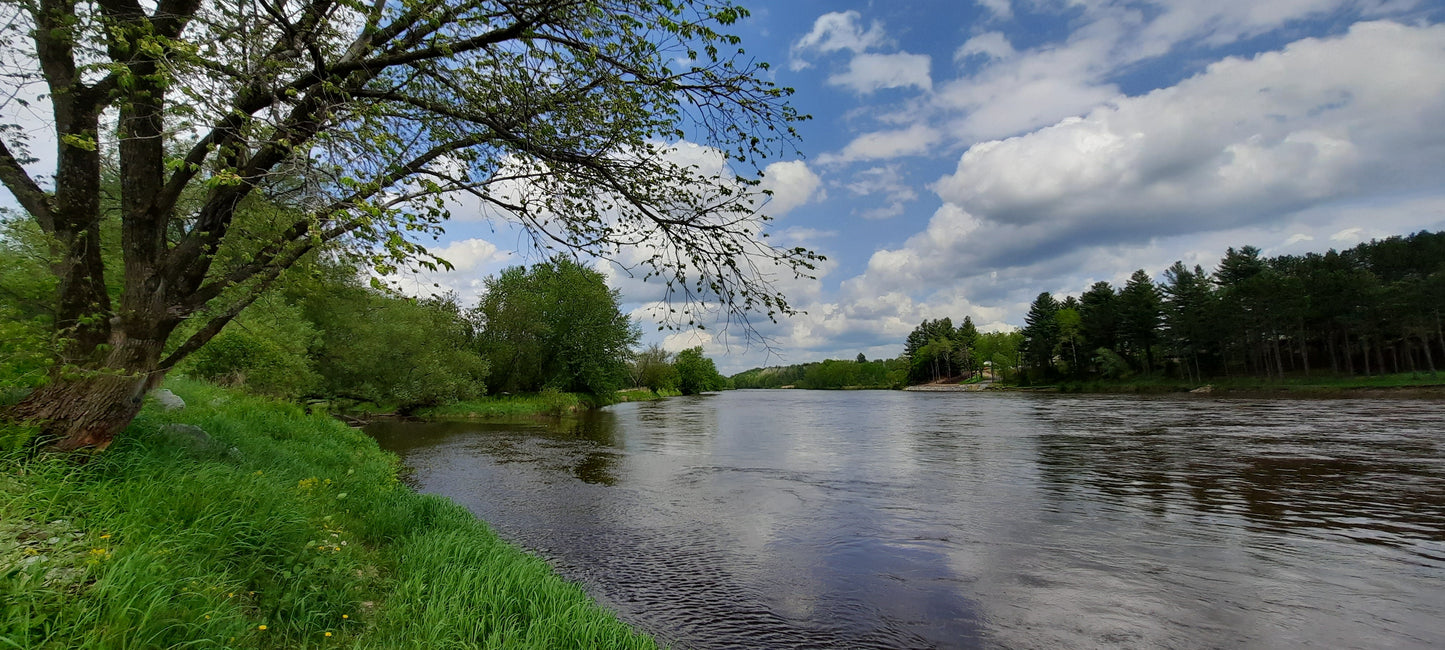 Rivière St-François (Parc Pomerleau) Ascot Corner