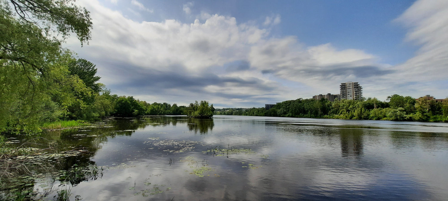 2022-06-16 (Vue T2) Les Nuages