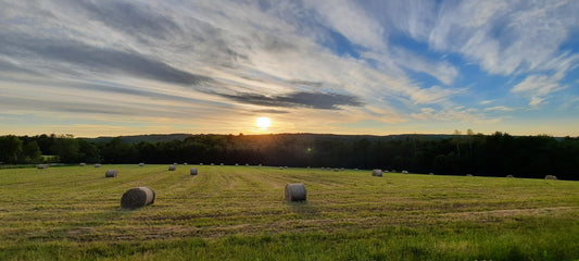 2022-06-20 Coucher De Soleil À La Campagne