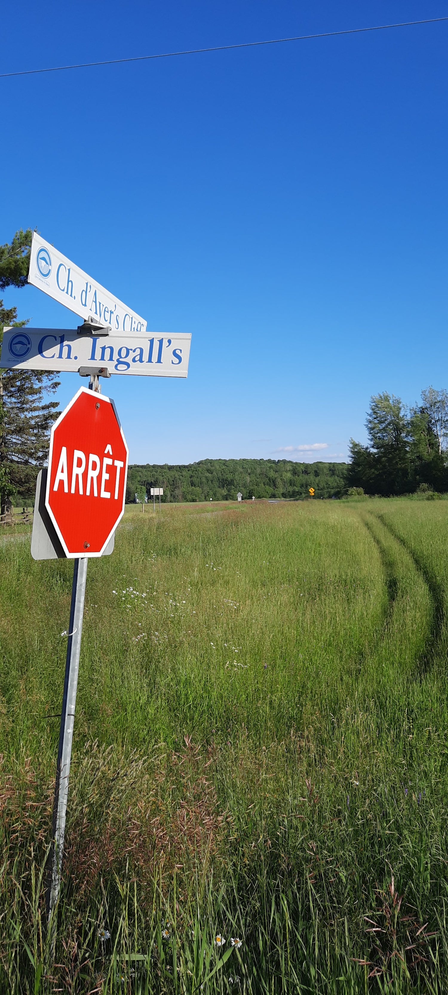 Chemin D’ayer’s Cliff Et Les Marguerites