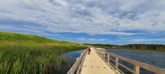 Dunelands Trail - Hiking Pei