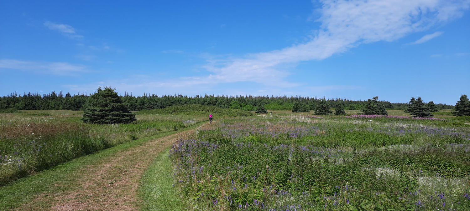 Greenwich - Prince Edward Island National Park Parc