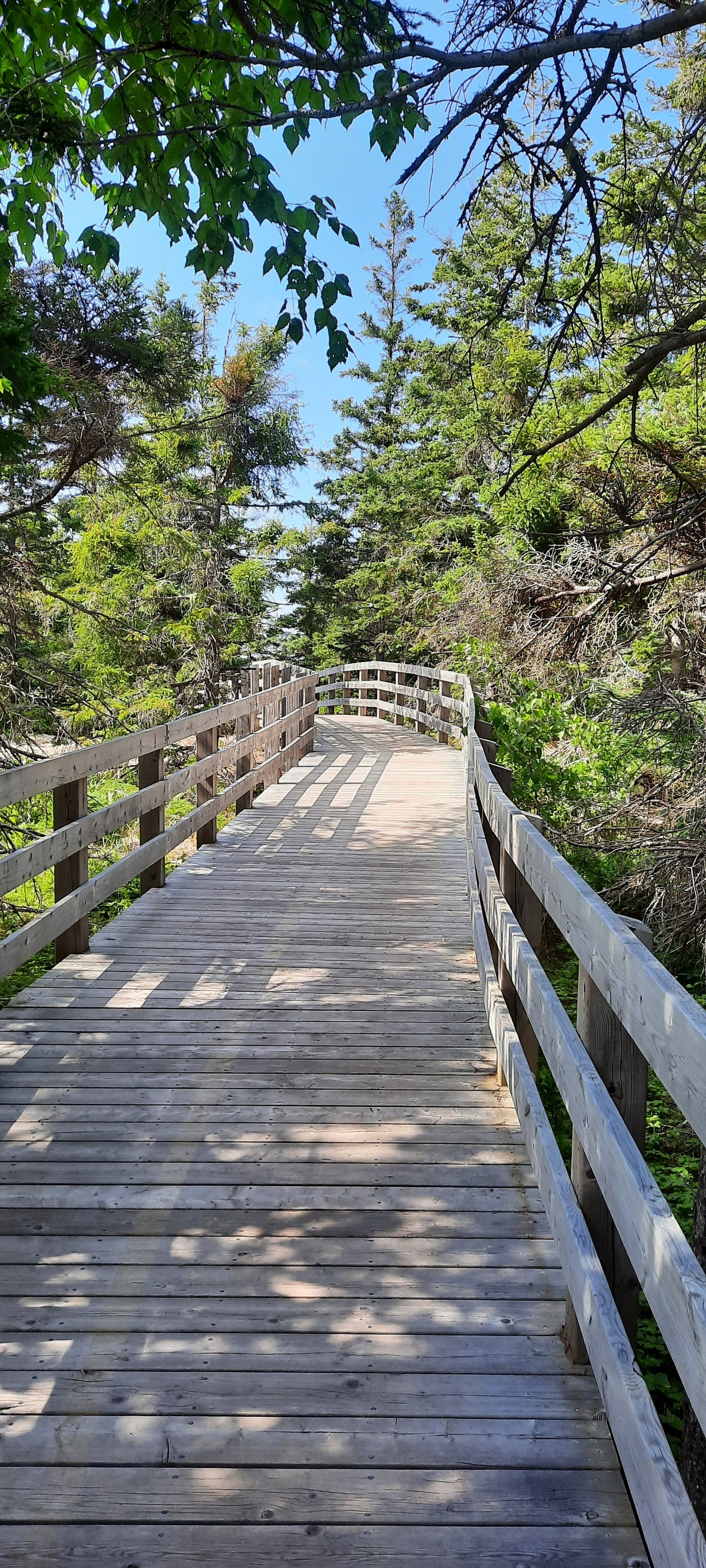 Greenwich - Prince Edward Island National Park Parc