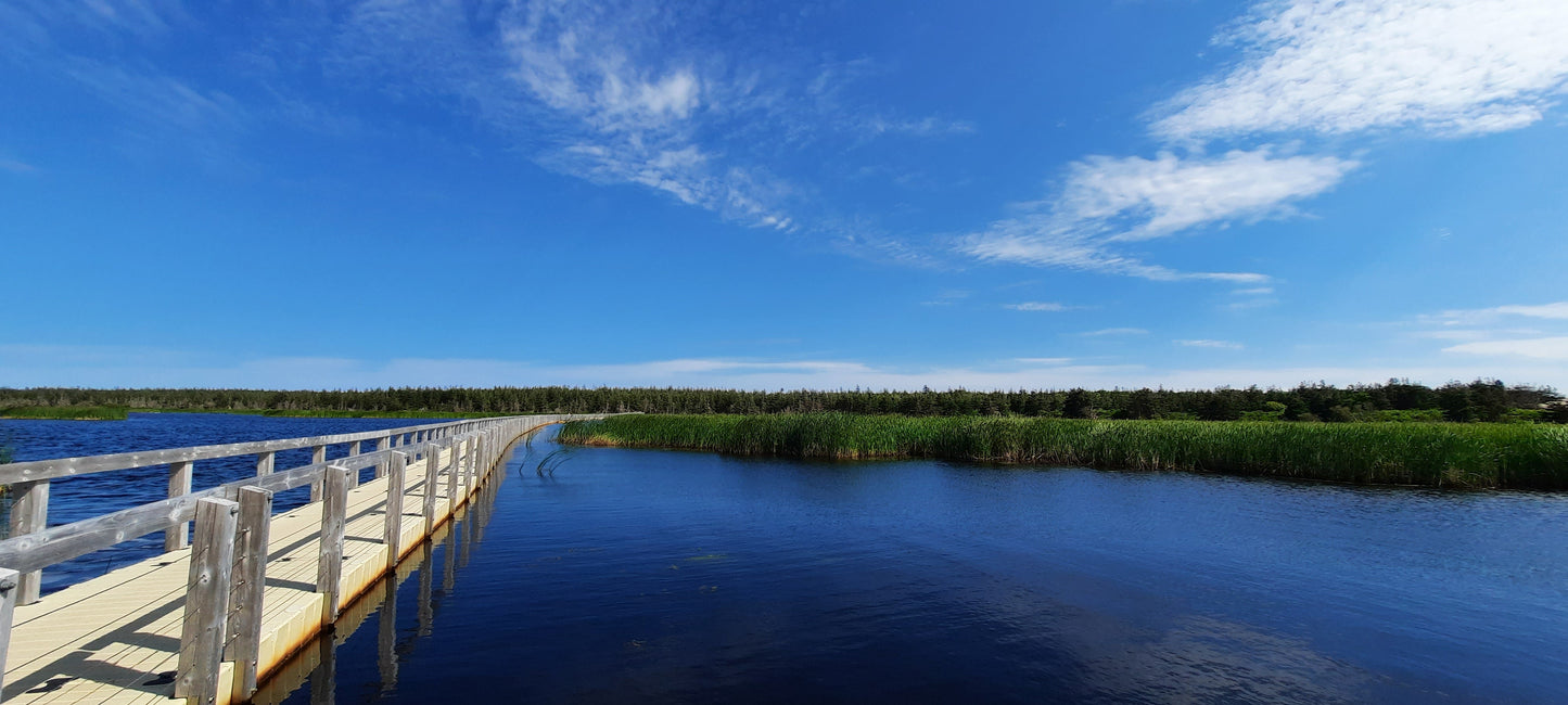 Greenwich - Prince Edward Island National Park Parc