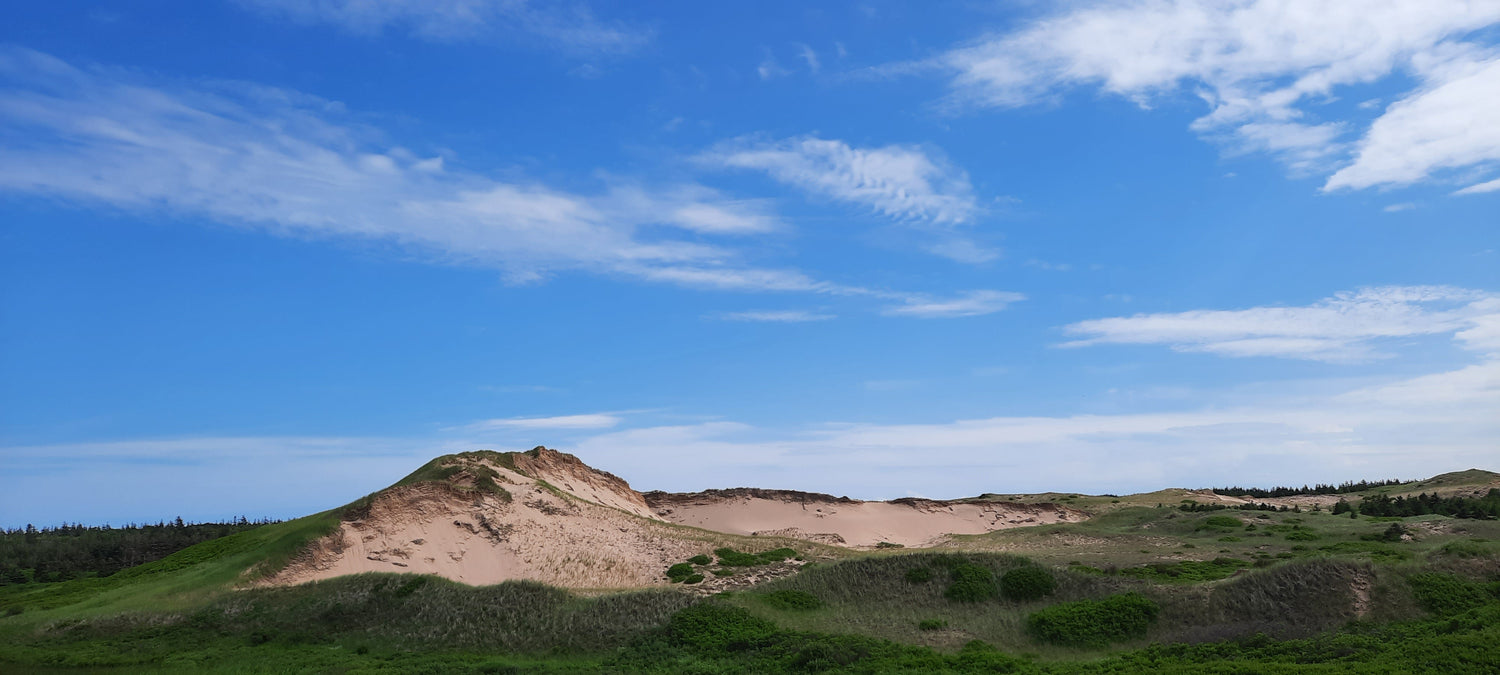 Greenwich - Prince Edward Island National Park Parc