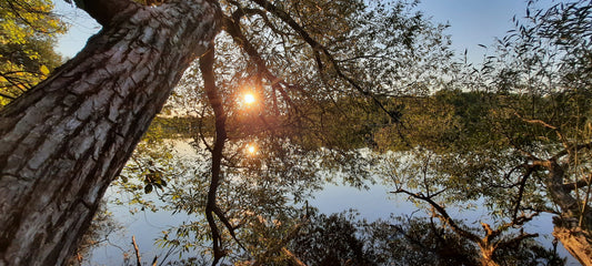 2022-09-08 Coucher De Soleil (Vue C1)