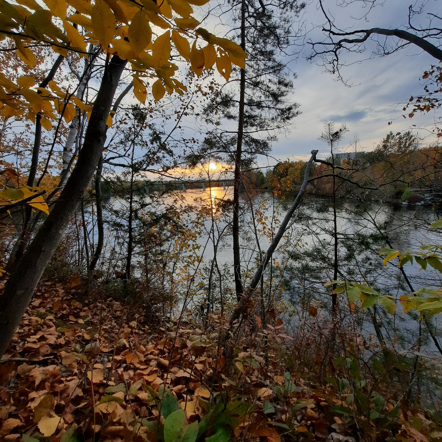 Coucher De Soleil Du 12 Octobre 2022 #Sherbrooke À 17H42 (Vue 2.3)