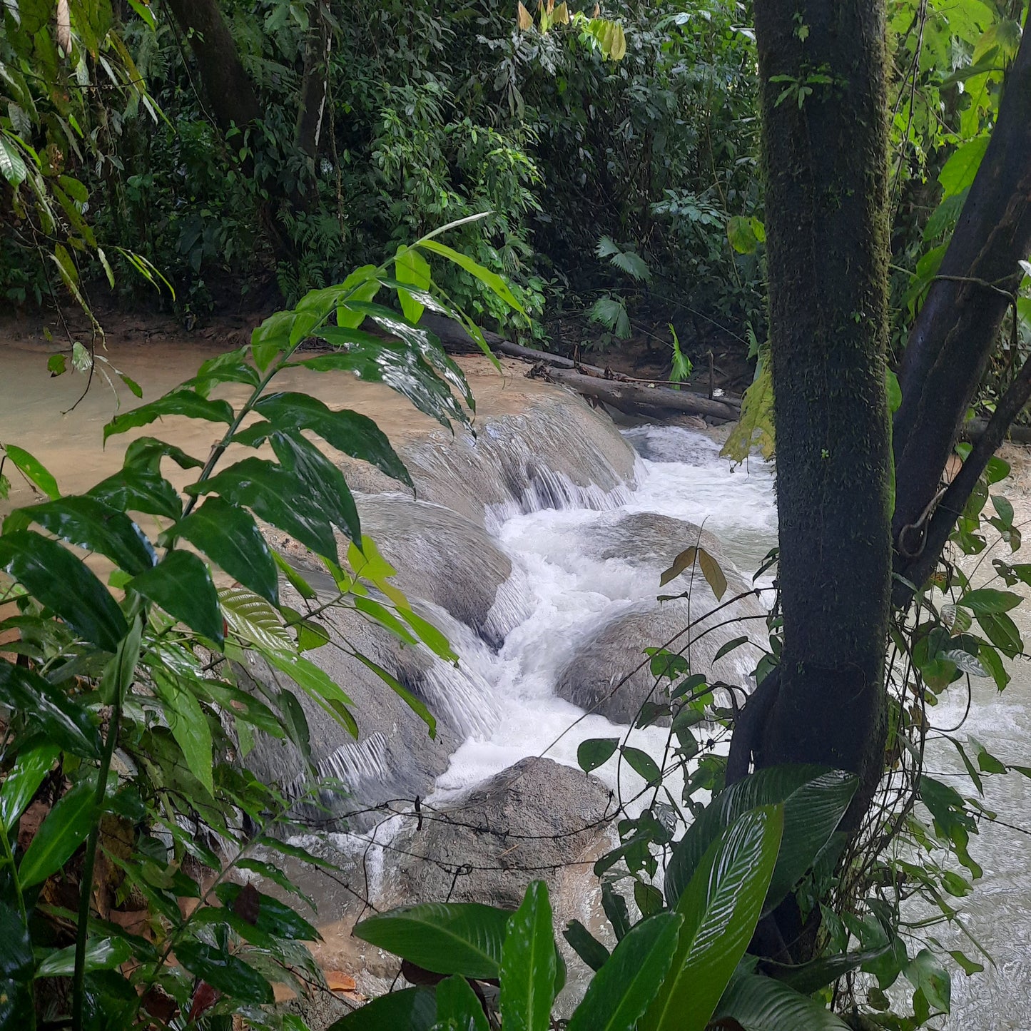 Rio Claro