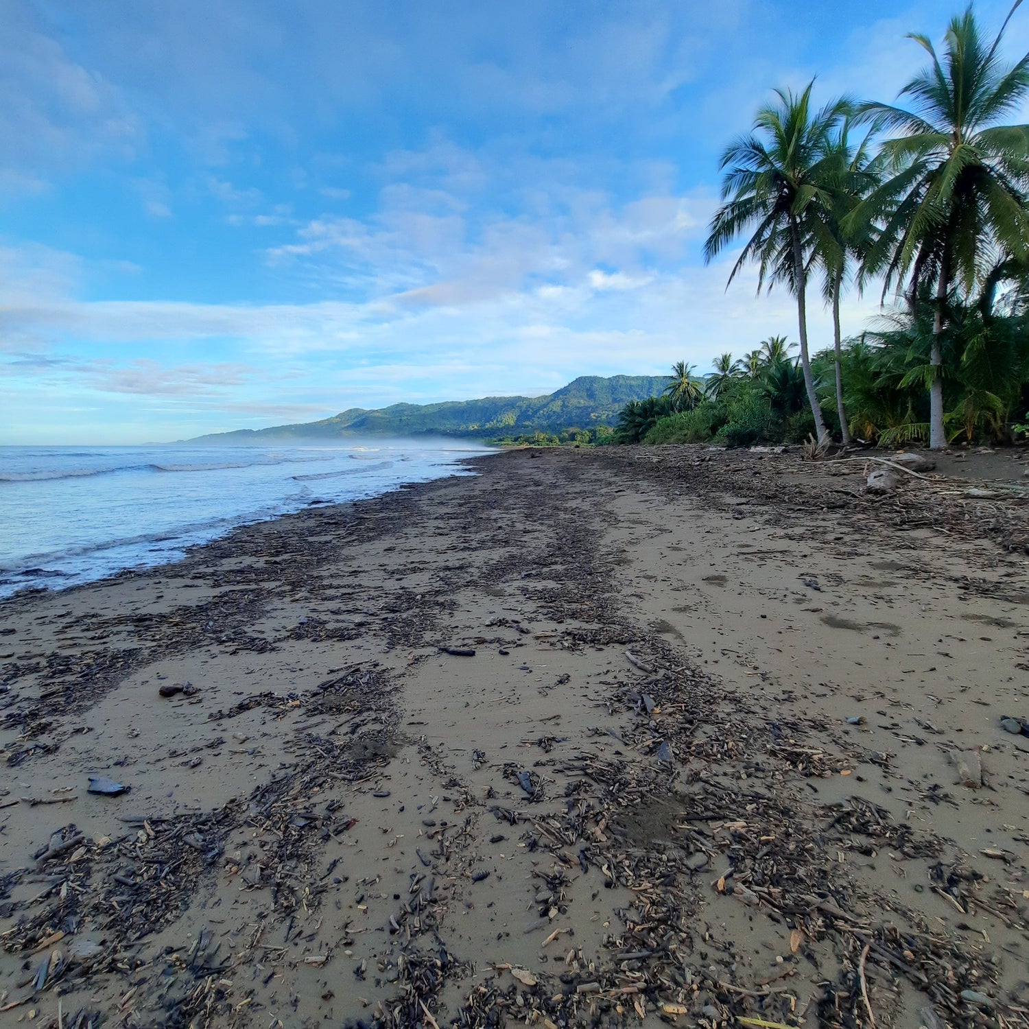 18 - Playa Uvita Costa Rica