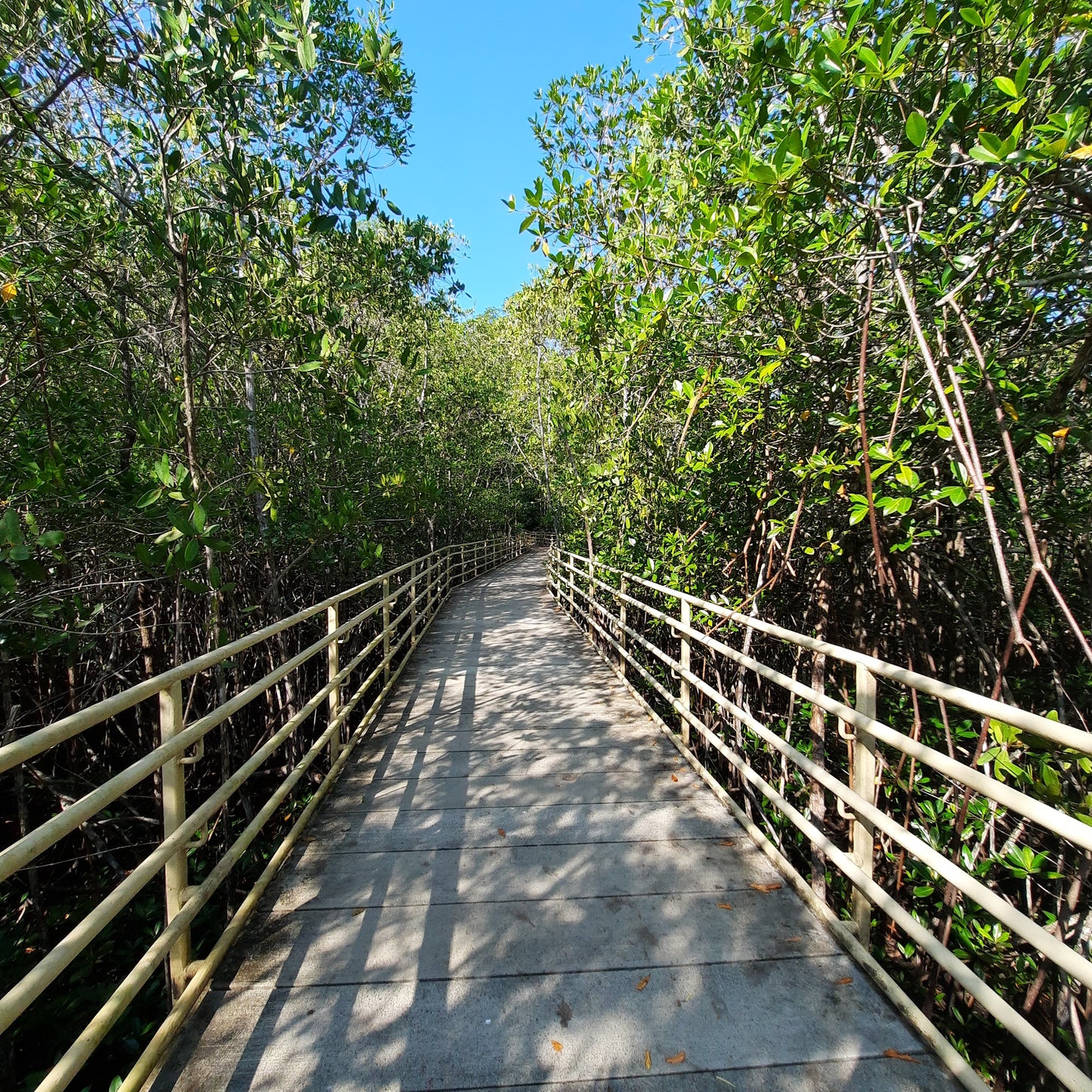 Parc National Manuel Antonio