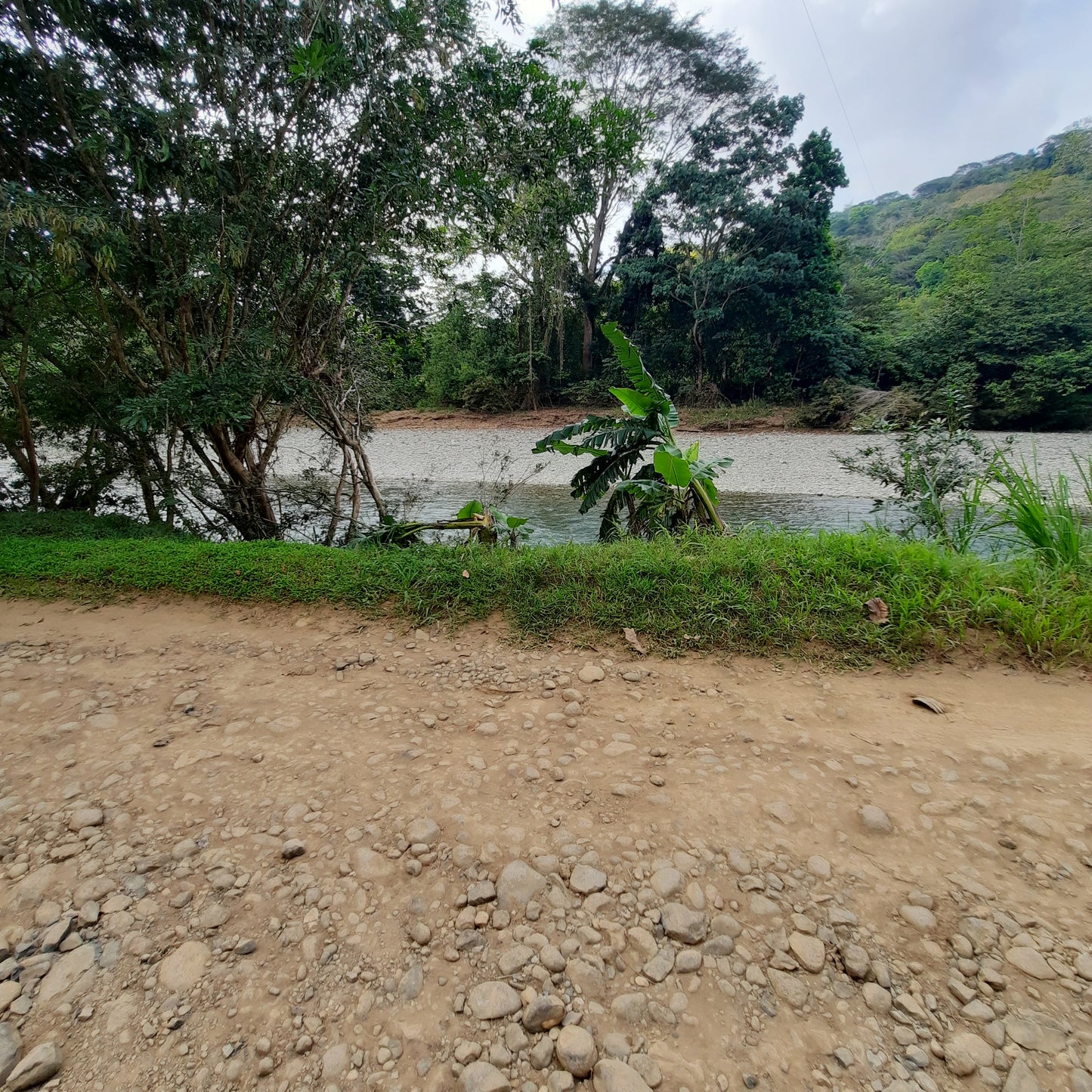 Le Sentier Du Rio Baru - Dominical