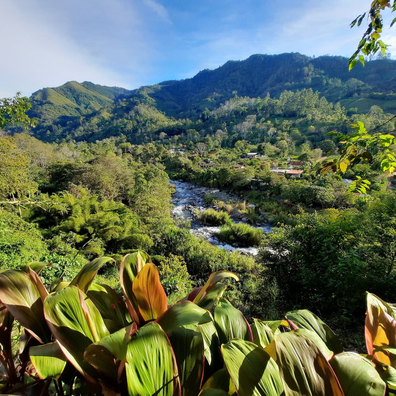 Découvrez Rivas Au Costa Rica Avec Un Guide