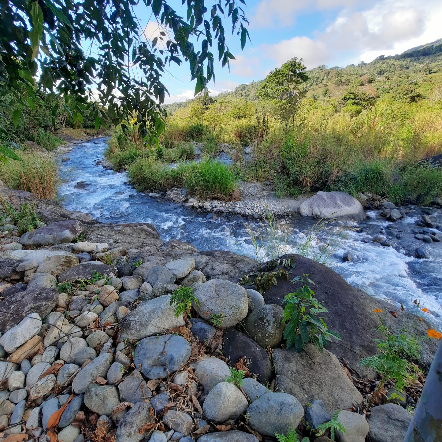 Découvrez Rivas Au Costa Rica Avec Un Guide